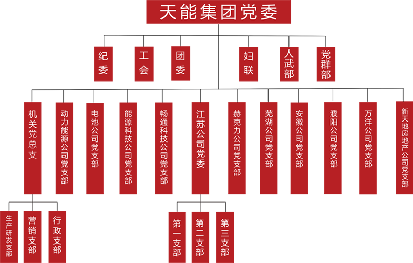 U8国际建团党委组织架构